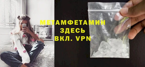 прущие грибы Медвежьегорск