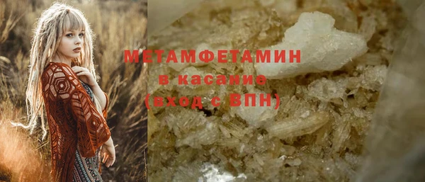 прущие грибы Медвежьегорск