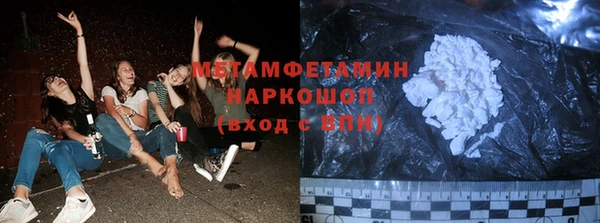 трава Белокуриха
