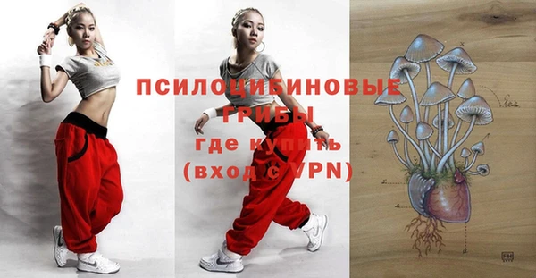 прущие грибы Медвежьегорск