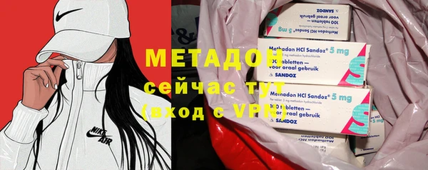 прущие грибы Медвежьегорск