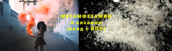 прущие грибы Медвежьегорск