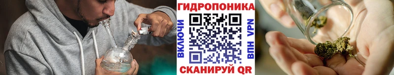 Конопля семена Лермонтов
